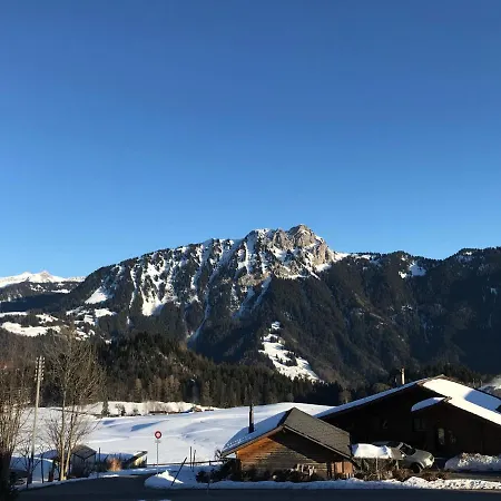 Nice Apartment 2.5Pcs Leysin At 50M From Ski Lift דירה לייסין