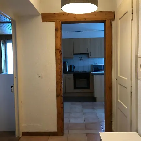 Nice Apartment 2.5Pcs Leysin At 50M From Ski Lift * Leysin