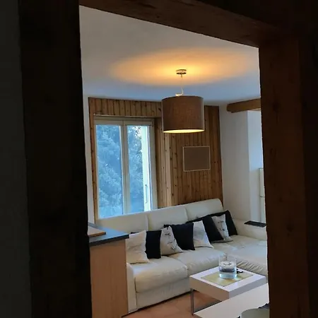 Nice Apartment 2.5Pcs Leysin At 50M From Ski Lift *