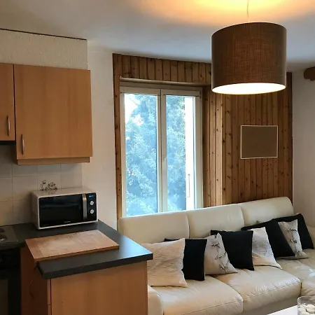 Nice Apartment 2.5Pcs Leysin At 50M From Ski Lift * Leysin